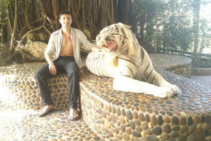 Птица певчая